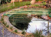 Pond with net