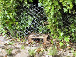 Mammal platform and fence