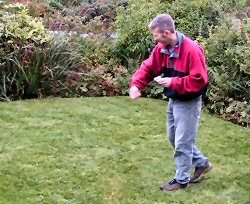 Sowing yellow rattle