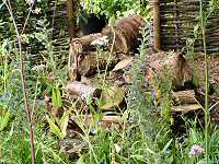 Log pile