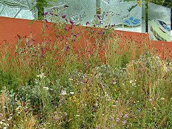 Naturalistic planting