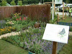 'The Butterfly Pub Garden' back-to-back garden