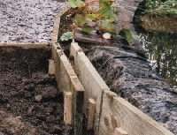 Narrow planting border