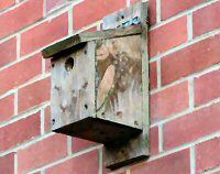 Nestbox