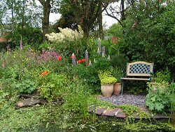 Garden pond