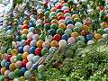 Planting around the 'pod' from A Colourful Suburban Eden