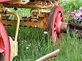 Meadow from The Woodcutter's Garden