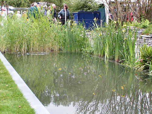 The Moat and Castle Garden: Filtering Plants