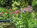 The RSPB/SITA Real Rubbish Garden: Pond-side Planting