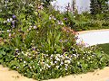 The Trailfinders Recycled Garden: Native Planting Detail