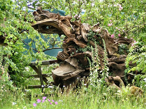 Wildlife Trusts LUSH Garden: Rootarium Arch