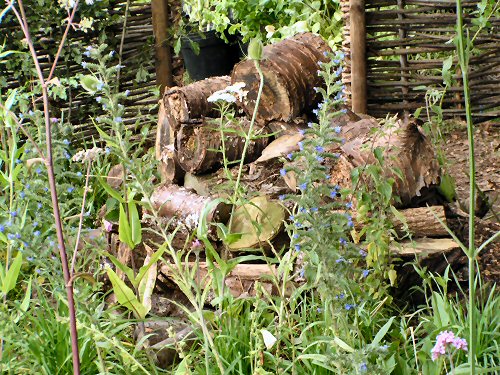 Log-pile from The Stonemarket Path to Sactuary Garden