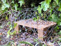 Small mammal platform