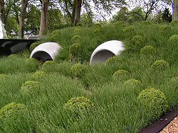 Hanover Quay Garden