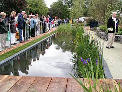 Swimming pond