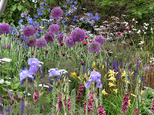 Planting from The Daihatsu Green Garden