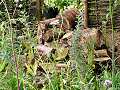 Log-pile from The Stonemarket Path to Sactuary Garden