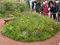 The Fetzer Wine Garden: Native Bed