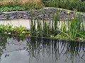 The Moat and Castle Garden: Marginal Planting