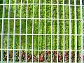Detail of walkway from The Garden of the Future