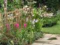 Border from Simply William Morris